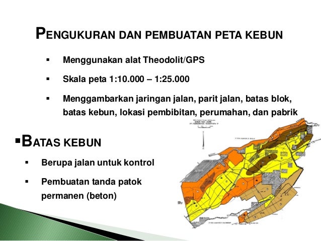 MATERI KELAPA SAIT 1 POLITEKNIK LPP YOGYAKARTA MATERI KELAPA SAIT 1 POLITEKNIK LPP YOGYAKARTA