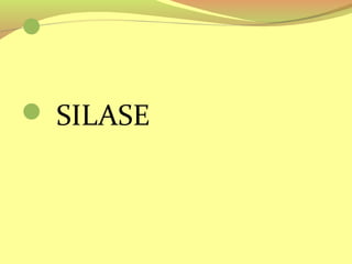 
 SILASE
 