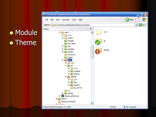 Developer
 Module
 Theme
 
