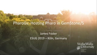 PharoGs: Hosting Pharo in GemStone/S
James Foster
ESUG 2019 – Köln, Germany
 