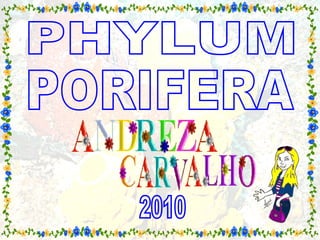 PHYLUM 2010 PORIFERA 