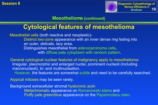 Mesothelioma  (continued) Atypical mitoses  may be seen rarely. Background extracellular stromal  hyaluronic acid -  Metachromatic  appearance on  Romanowski stains  and  Fluffy pale green/blue  appearance on the  Papanicolaou stain . Cytological features of mesothelioma Mesothelial cells  (both reactive and neoplastic)-  Distinct two-zone  appearance with an  inner dense ring  fading into  an  outer, delicate, lacy  area.  Distinguishes mesothelial from  adenocarcinoma cells ,  with  diffuse pale cytoplasm with random pattern . General cytological nuclear features of malignancy apply to mesothelioma-   Irregular, pleomorphic and enlarged nuclei, prominent nucleoli (including  macronucleoli), bi- and multinucleation.  However,  the features are somewhat  subtle  and need to be carefully searched.  19 