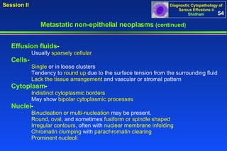 Metastatic non-epithelial neoplasms  (continued) Effusion fluids -   Usually  sparsely cellular Cells-  Single  or in loose clusters Tendency to  round up  due to the surface tension from the surrounding fluid Lack the tissue arrangement  and vascular or stromal pattern Cytoplasm - Indistinct cytoplasmic borders May show  bipolar cytoplasmic processes Nuclei -  Binucleation or multi-nucleation  may be present.  Round ,  oval , and sometimes  fusiform or spindle shaped   Irregular contours , often with  nuclear membrane infolding Chromatin clumping  with  parachromatin clearing Prominent nucleoli 54 