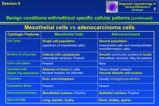 Mesothelial cells  vs  adenocarcinoma   cells Benign conditions with/without specific cellular patterns  (continued) 5 Cytologic Features  Mesothelial Cells  Adenocarcinoma Cell Types  Single cell population (spectrum of mesothelial cells)  Second population (mesothelial cells and nonmesothelial-noninflammatory cells) Borders of cell groups Hobnail with cytoplasmic   Intercellular windows- Present Smooth  community borders of  nuclei Intercellular windows- May be present Cell in cell pattern Present  Rare Vauolated cells  (Signet ring appearance) Absence of mucin  in cells Nuclear borders not distorted “ Mucin droplet” present Vacuole distorts cell nucleus Cytoplasm Ecto- and endoplasm Usually  homogenous-random Cytoplasmic Blebs Present Absent Immunohistochemistry  Mesothelial markers-  Positive Epithelial markers-  Positive Microvilli (EM) Long, slender, bushy Short, stubby, sparse   
