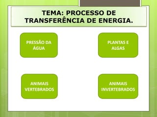 TEMA: PROCESSO DE
TRANSFERÊNCIA DE ENERGIA.


PRESSÃO DA         PLANTAS E
   ÁGUA              ALGAS




  ANIMAIS           ANIMAIS
VERTEBRADOS      INVERTEBRADOS
 
