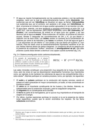 5
? El agua se mezcla homogéneamente con las sustancias polares y con las partículas
cargadas, razón por la cual es extraordinariamente buena como disolvente. Las
sustancias que por ser hidrofílicas se disuelven en agua, se llaman hidrosolubles.
Las sustancias que, por el contrario, son apolares o sin carga, son hidrofóbicas, es
decir, al ponerse en contacto con el agua quedan agrupadas y no se mezclan con ella.
? El agua tiene, además, una leve tendencia a ionizarse produciendo el anión OH-
y el
catión H3O+
, que se representan, para mayor simplicidad, como OH-
(hidroxilo) y H+
(Protón). Las concentraciones de ambos en el agua pura son iguales y por eso
decimos que el agua es neutra7
. Otras sustancias, en cambio, al ionizarse en solución
acuosa, tienden a desigualar las concentraciones de OH-
y H+
, ya que liberan o
capturan uno de esos iones. Los ácidos causan un aumento de la concentración de
protones por sobre la de hidroxilos y las bases, lo contrario. El pH del agua es igual a
7. Las soluciones con pH inferior a 7 son ácidas y las que tienen pH superior a 7 son
básicas. Para los seres vivos es extraordinariamente importante mantener el pH de
sus medios internos dentro de ciertos márgenes. La constancia del pH se asegura por
la presencia de sustancias “buffers”, tampones, o amortiguadores de pH, que cede
protones cuando éstos tienden a disminuir o los captan cuando aumentan (fig. 2.4).
Fig. 2.4: Sistema amortiguador ácido carbónico-bicarbonato.
SALES MINERALES
Las sales minerales constituyen una proporción muy pequeña de la masa de los seres
vivos, pero los iones en que se descomponen desempeñan funciones muy importantes
como, por ejemplo, la de mantener los volúmenes de agua en los compartimientos intra y
extra celular8
. Además participan en variados procesos, como, por ejemplo, los siguientes:
? El sodio y el potasio participan en la conducción del impulso nervioso, siendo el
potasio el catión intracelular en mayor concentración y el sodio, el más concentrado en
el entorno celular9
.
? El calcio es un importante constituyente de los huesos y los dientes. Además, es
indispensable para la contracción muscular y para la coagulación sanguínea.
? El magnesio es un constituyente de la clorofila.
? El fierro es parte de la hemoglobina, por lo que es muy importante en el transporte de
oxígeno en la sangre.
? Por último, muchas reacciones químicas no ocurren si no es la presencia de ciertos
iones específicos, puesto que la acción enzimática los requiere. Se les llama
cofactores enzimáticos.
7
Decimos que el agua es neutra en dos sentidos: es eléctricamente neutra, por un lado y, por otro, no es
ácida ni básica.
8
Las sales atraen agua hacia los compartimientos donde se encuentran en solución, por un proceso llamado
osmosis.
9
Nos referimos al cuerpo de los animales.
HCO3
-
+ H+
H2CO3
Un ejemplo de amortiguador en el plasma
sanguíneo es el del ión bicarbonato y el ácido
carbónico: cuando se eleva la acidez, el ión capta
protones para formar el ácido, mientras que cuando
hay escasa acidez ocurre lo contrario.
 