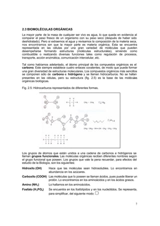 7
2.3 BIOMOLÉCULAS ORGÁNICAS
La mayor parte de la masa de cualquier ser vivo es agua, lo que queda en evidencia al
comparar el peso fresco de un organismo con su peso seco (después de haber sido
deshidratado). Pero si extraemos el agua y revisamos la composición de la materia seca,
nos encontramos con que la mayor parte es materia orgánica. Esta se encuentra
representada en las células por una gran variedad de moléculas que pueden
desempeñarse formando estructuras (moléculas estructurales), sirviendo como
combustible o realizando diversas funciones tales como regulación de procesos,
transporte, acción enzimática, comunicación intercelular, etc.
Tal como habíamos adelantado, el átomo principal de los compuestos orgánicos es el
carbono. Este siempre establece cuatro enlaces covalentes, de modo que puede formar
una gran diversidad de estructuras moleculares. Los compuestos orgánicos más sencillos
se componen sólo de carbono e hidrógeno y se llaman hidrocarburos. No se hallan
presentes en las células, pero su estructura (fig. 2.5) es la base de las moléculas
orgánicas biológicas.
Fig. 2.5: Hidrocarburos representados de diferentes formas.
Los grupos de átomos que están unidos a una cadena de carbonos e hidrógenos se
llaman grupos funcionales. Las moléculas orgánicas reciben diferentes nombres según
el grupo funcional que poseen. Los grupos que vale la pena recuerdar, para efectos del
estudio de la Biología, son los siguientes:
Hidroxilo (OH) Hace que las moléculas sean hidrosolubles. Lo encontramos en
abundancia en los azúcares.
Carboxilo (COOH) Las moléculas que lo poseen se llaman ácidos, pues puede liberar un
protón. Lo encontramos en los aminoácidos y en los ácidos grasos.
Amino (NH2) Lo hallamos en los aminoácidos.
Fosfato (H3PO4) Se encuentra en los fosfolípidos y en los nucleótidos. Se representa,
para simplificar, del siguiente modo:
P
 