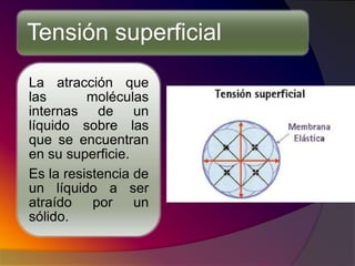02 propiedades de los materiales dentales