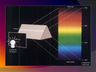 02 propiedades de los materiales dentales