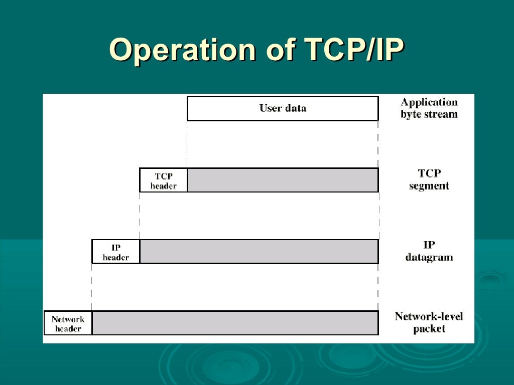 02 protocol architecture