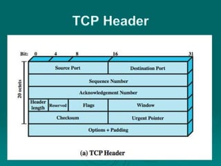 02 protocol architecture | PPTX