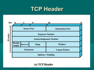 TCP HeaderTCP Header
 