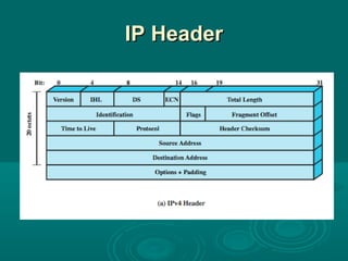 IP HeaderIP Header
 