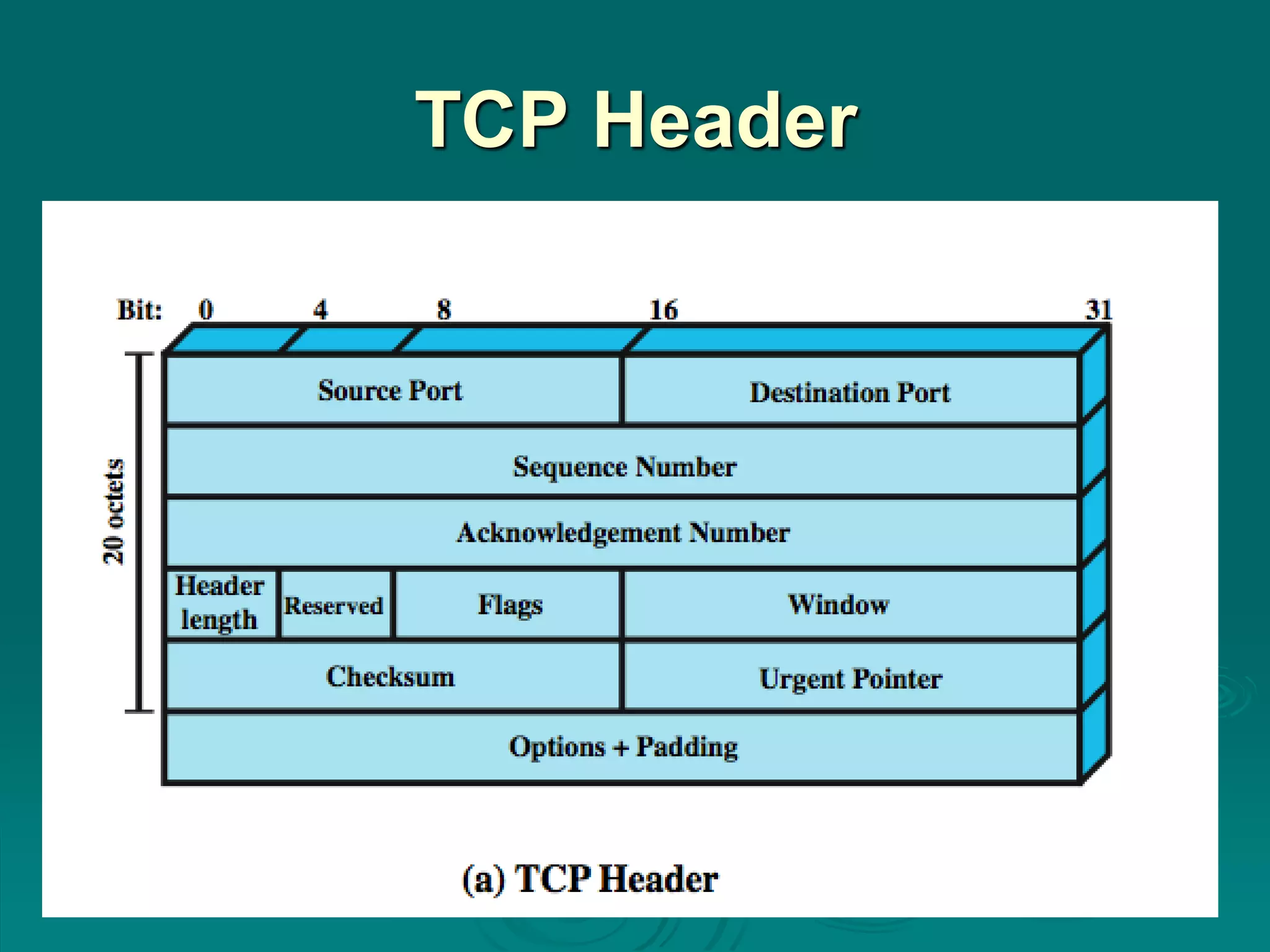 TCP Header
 