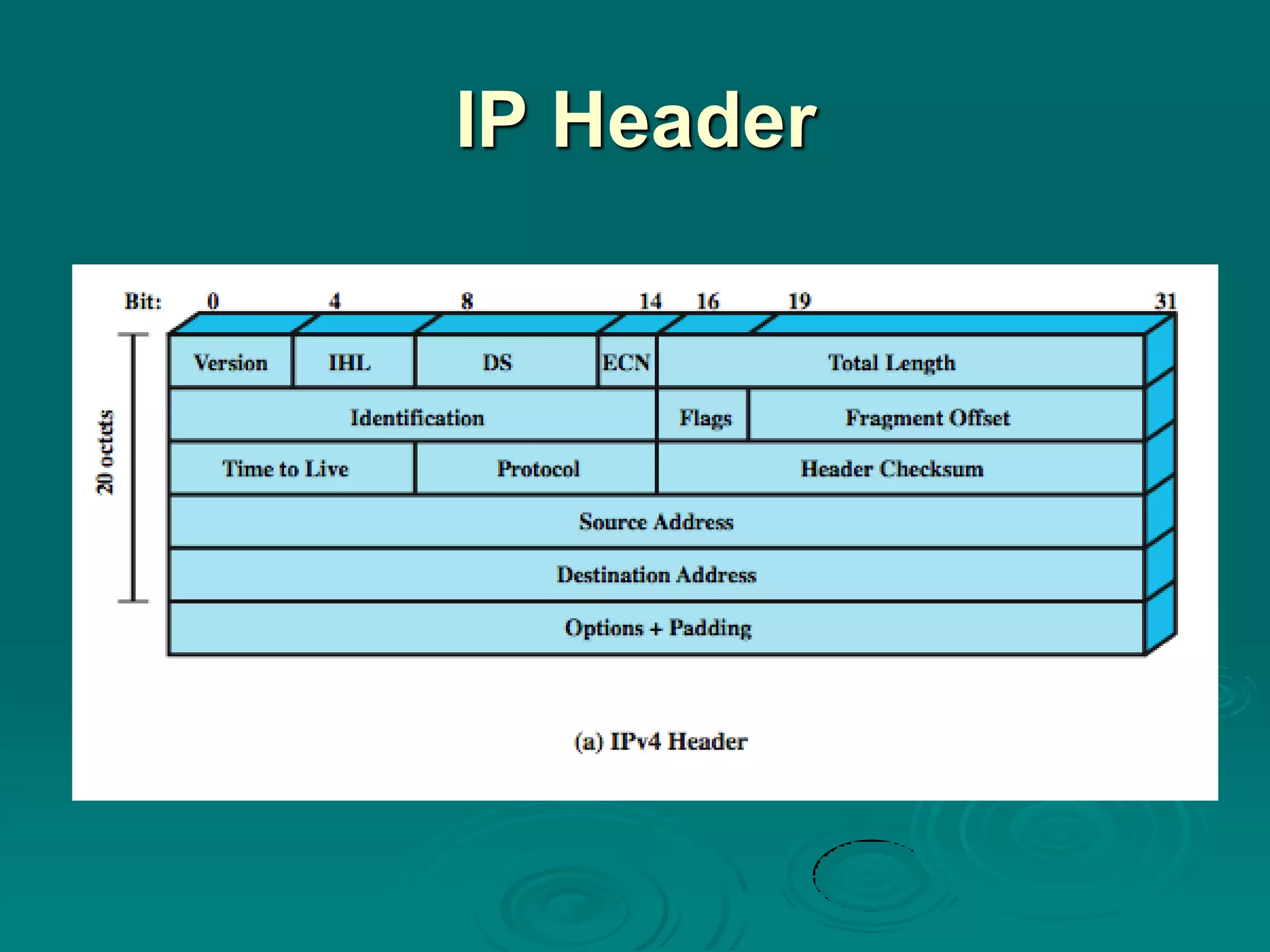 IP Header
 