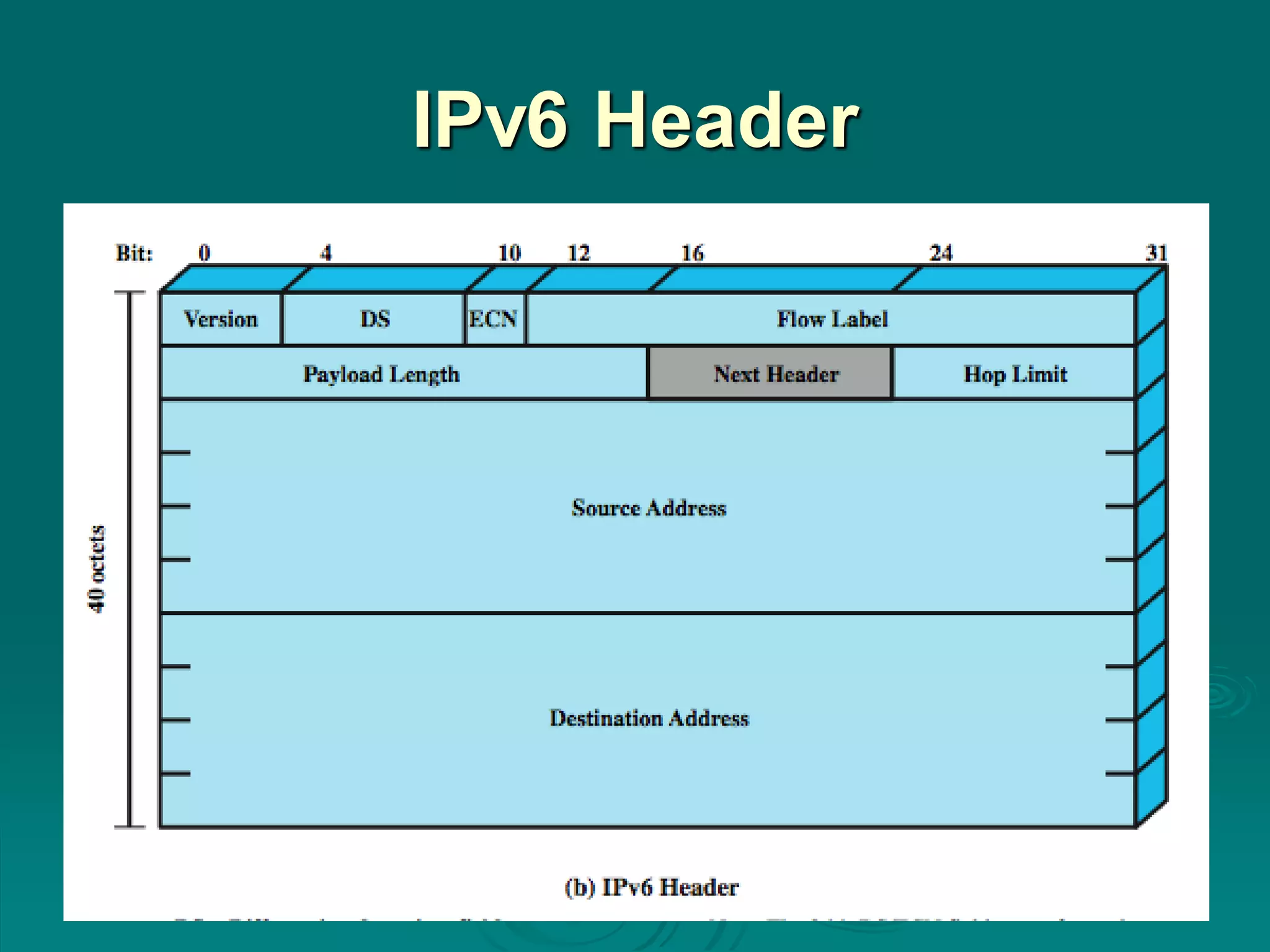 IPv6 Header
 
