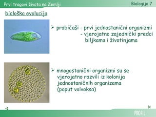 Prvi tragovi života na Zemlji Biologija 7 
biološka evolucija 
 prabičaši - prvi jednostanični organizmi 
- vjerojatno zajednički predci 
biljkama i životinjama 
 mnogostanični organizmi su se 
vjerojatno razvili iz kolonija 
jednostaničnih organizama 
(poput volvoksa) 
 