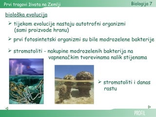 Prvi tragovi života na Zemlji Biologija 7 
biološka evolucija 
 tijekom evolucije nastaju autotrofni organizmi 
(sami proizvode hranu) 
 prvi fotosintetski organizmi su bile modrozelene bakterije 
 stromatoliti - nakupine modrozelenih bakterija na 
vapnenačkim tvorevinama nalik stijenama 
 stromatoliti i danas 
rastu 
 