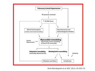 Vonk-Noordegraaf et al JACC 2013; 62:D22-33
 