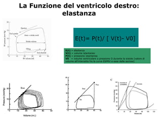 E(t)= P(t)/ [ V(t)- V0]
La Funzione del ventricolo destro:
elastanza
E(t) = elastanza
V(t) = volume istantaneo
P(t) = pressione istantanea
V0 = volume ventricolare a pressione O durante la sistole (valore di
volume all’intercetta fra la curva ESPRV e asse delle ascisse)
 