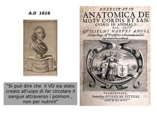 “Si può dire che il VD sia stato
creato all’uopo di far circolare il
sangue attraverso i polmoni ,
non per nutrirli”
A.D 1616
 