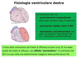 La contrazione del VD:
• accorciamento longitudinale
dalla base all’apice (fase di eiezione)
• movimento radiale verso il SIV
• movimento circonferenziale che
crea una sorta di “spremitura” del
VD ( contrazione isovolumetrica).
L’inizio della contrazione del tratto di efflusso avviene circa 25 ms dopo
quella del tratto di afflusso, con effetto “peristaltico”. Il contributo del
SIV è a sua volta una determinante maggiore della performance VD.
Fisiologia ventricolare destra
 