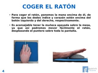 COGER EL RATÓN
    ●   Para coger el ratón, ponemos la mano encima de él, de
        forma que los dedos índice y corazón estén encima del
        botón izquierdo y del derecho, respectivamente.
    ●   Es aconsejable tener la muñeca apoyada sobre la mesa,
        ya que así podremos mover fácilmente el ratón,
        desplazando el puntero sobre toda la pantalla.




4
 