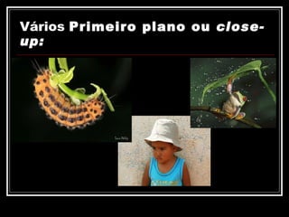 Vários  Primeiro plano ou  close-up: 