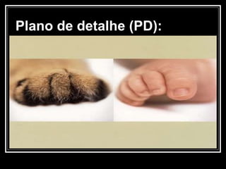 Plano de detalhe (PD): 