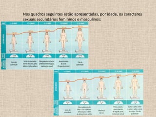 Nos quadros seguintes estão apresentadas, por idade, os caracteres
sexuais secundários femininos e masculinos:

 
