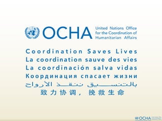 02   rolac - ocha herramientas y recursos