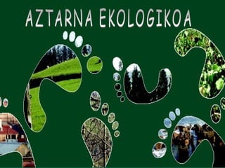 AZTARNA EKOLOGIKOA 