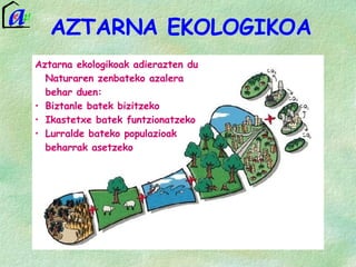 AZTARNA EKOLOGIKOA Aztarna ekologikoak adierazten du Naturaren zenbateko azalera behar duen: Biztanle batek bizitzeko Ikastetxe batek funtzionatzeko Lurralde bateko populazioak  beharrak asetzeko Aztarna ekologikoak adierazten du Naturaren zenbateko azalera behar duen: Biztanle batek bizitzeko Ikastetxe batek funtzionatzeko Lurralde bateko populazioak  beharrak asetzeko 