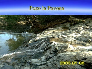 Pozo la Pavona 