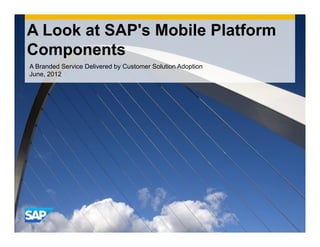 A Look at SAP's Mobile Platform
Components
A Branded Service Delivered by Customer Solution Adoption
June, 2012
 