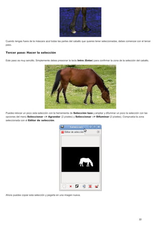 Cuando tengas fuera de la máscara azul todas las partes del caballo que quieres tener seleccionadas, debes comenzar con el tercer 
paso. 
Tercer paso: Hacer la selección 
Este paso es muy sencillo. Simplemente debes presionar la tecla Intro (Enter) para confirmar la zona de la selección del caballo. 
Puedes retocar un poco esta selección con la herramienta de Selección lazo y ampliar y difuminar un poco la selección con las 
opciones del menú Seleccionar --> Agrandar (2 píxeles) y Seleccionar --> Difuminar (2 píxeles). Comprueba la zona 
seleccionada con el Editor de selección. 
Ahora puedes copiar esta selección y pegarla en una imagen nueva. 
22 
 