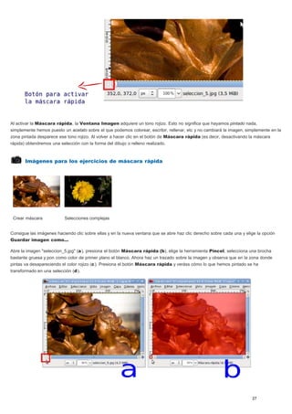 Al activar la Máscara rápida, la Ventana Imagen adquiere un tono rojizo. Esto no significa que hayamos pintado nada, 
simplemente hemos puesto un acetato sobre el que podemos colorear, escribir, rellenar, etc y no cambiará la imagen, simplemente en la 
zona pintada desparece ese tono rojizo. Al volver a hacer clic en el botón de Máscara rápida (es decir, desactivando la máscara 
rápida) obtendremos una selección con la forma del dibujo o relleno realizado. 
Imágenes para los ejercicios de máscara rápida 
Crear máscara Selecciones complejas 
Consigue las imágenes haciendo clic sobre ellas y en la nueva ventana que se abre haz clic derecho sobre cada una y elige la opción 
Guardar imagen como... 
Abre la imagen "seleccion_5.jpg" (a), presiona el botón Máscara rápida (b), elige la herramienta Pincel, selecciona una brocha 
bastante gruesa y pon como color de primer plano el blanco. Ahora haz un trazado sobre la imagen y observa que en la zona donde 
pintas va desapareciendo el color rojizo (c). Presiona el botón Máscara rápida y veráss cómo lo que hemos pintado se ha 
transformado en una selección (d). 
27 
 