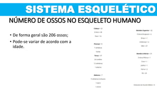 NÚMERO DE OSSOS NO ESQUELETO HUMANO
• De forma geral são 206 ossos;
• Pode-se variar de acordo com a
idade.
SISTEMA ESQUELÉTICO
 