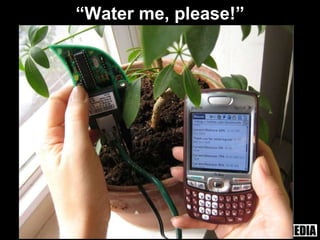 “ Water me, please!” 