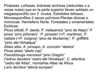 Pináceas: Leñosas, brácteas tectrices (reducidas o a veces nulas) que en la parte superior llevan soldado un megaesporofilo con 2  óvulos. Estróbilos leñosos. Microesporofilos 2 sacos polínicos Plantas dioicas o monoicas. Hemisferio Norte. Forestales y ornamentales Exóticas: Pinus elliotti ,  P. taeda ,  P. halepensis  “pino de Alepo”  P. pinea  “pino piñonero”,  P. pinaster  (= P. maritima ),  P. radiata  (= P. insignis ) “pino de Monterrey”, P.  griffithii “pino del Himalaya” Abies alba ,  A. pinsapo ,  A. concolor  “abetos” Picea abies  “abeto rojo” Pseudotsuga menziesii  “pino Oregón” Cedrus deodara  “cedro del Himalaya”,  C. atlantica  “cedro del Atlas”, montañas Atlas de Africa Larix decidua  “alerce europeo” 