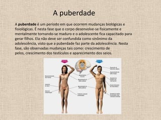 A puberdade
A puberdade é um período em que ocorrem mudanças biológicas e
fisiológicas. É nesta fase que o corpo desenvolve-se fisicamente e
mentalmente tornando-se maduro e o adolescente fica capacitado para
gerar filhos. Ela não deve ser confundida como sinônimo da
adolescência, visto que a puberdade faz parte da adolescência. Nesta
fase, são observadas mudanças tais como: crescimento de
pelos, crescimento dos testículos e aparecimento dos seios.

 