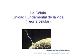 La Célula Unidad Fundamental de la vida (Teoría celular) Realizada por: Andrés Mejías Romero Fuente: Valdivia B. Biología la vida y sus procesos. Ed. Publicaciones Cultural 