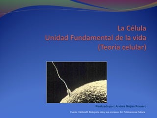 Realizada por: Andrés Mejías Romero
Fuente: Valdivia B. Biología la vida y sus procesos. Ed. Publicaciones Cultural
 