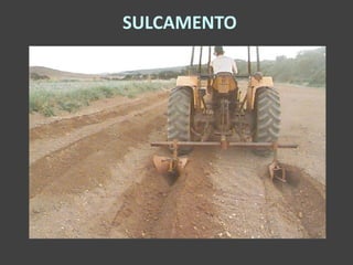 SULCAMENTO
 
