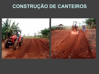 CONSTRUÇÃO DE CANTEIROS
 