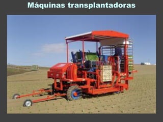 Máquinas transplantadoras
 