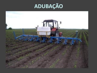 ADUBAÇÃO
 