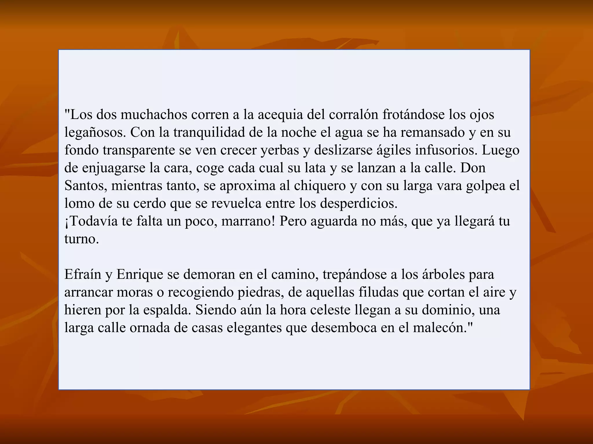 "Los dos muchachos corren a la acequia del corralón frotándose los ojos
legañosos. Con la tranquilidad de la noche el agua se ha remansado y en su
fondo transparente se ven crecer yerbas y deslizarse ágiles infusorios. Luego
de enjuagarse la cara, coge cada cual su lata y se lanzan a la calle. Don
Santos, mientras tanto, se aproxima al chiquero y con su larga vara golpea el
lomo de su cerdo que se revuelca entre los desperdicios.
¡Todavía te falta un poco, marrano! Pero aguarda no más, que ya llegará tu
turno.

Efraín y Enrique se demoran en el camino, trepándose a los árboles para
arrancar moras o recogiendo piedras, de aquellas filudas que cortan el aire y
hieren por la espalda. Siendo aún la hora celeste llegan a su dominio, una
larga calle ornada de casas elegantes que desemboca en el malecón."
 