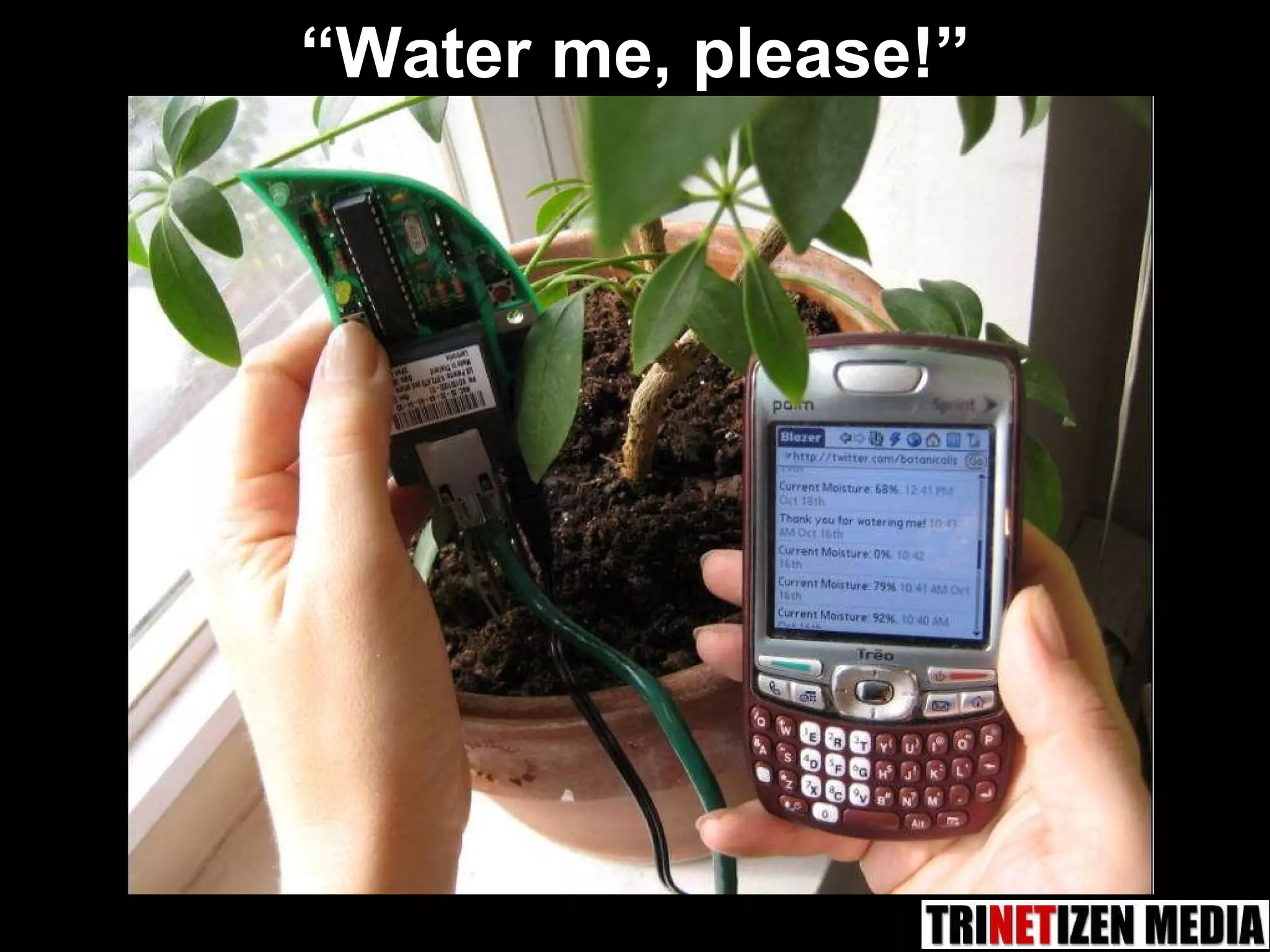 “ Water me, please!” 