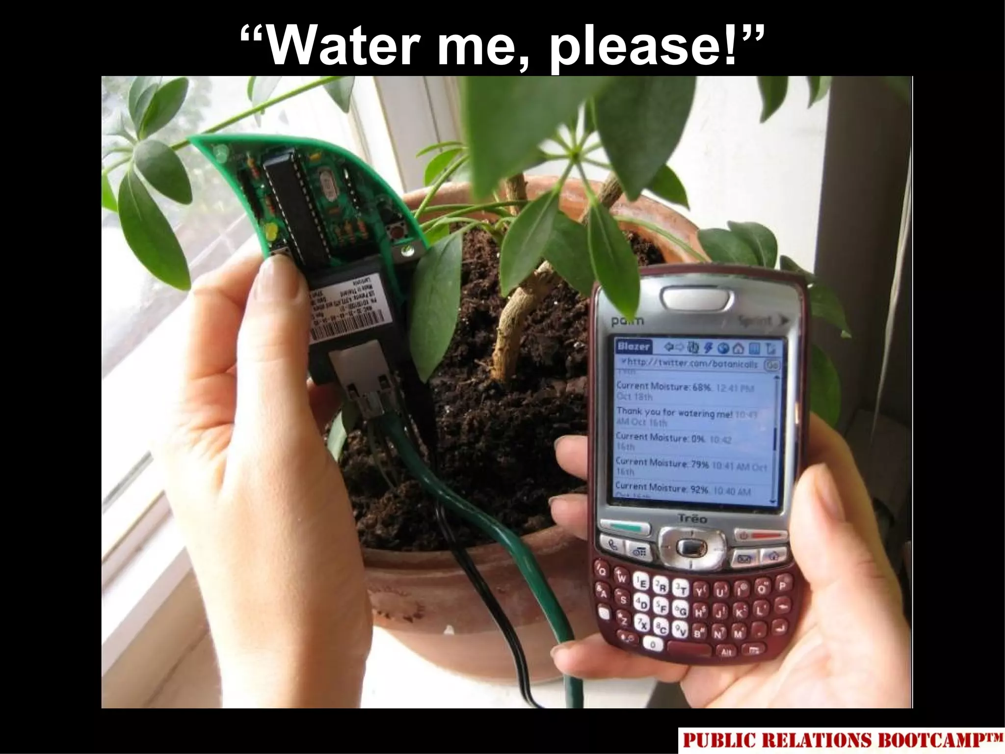 “Water me, please!”
 